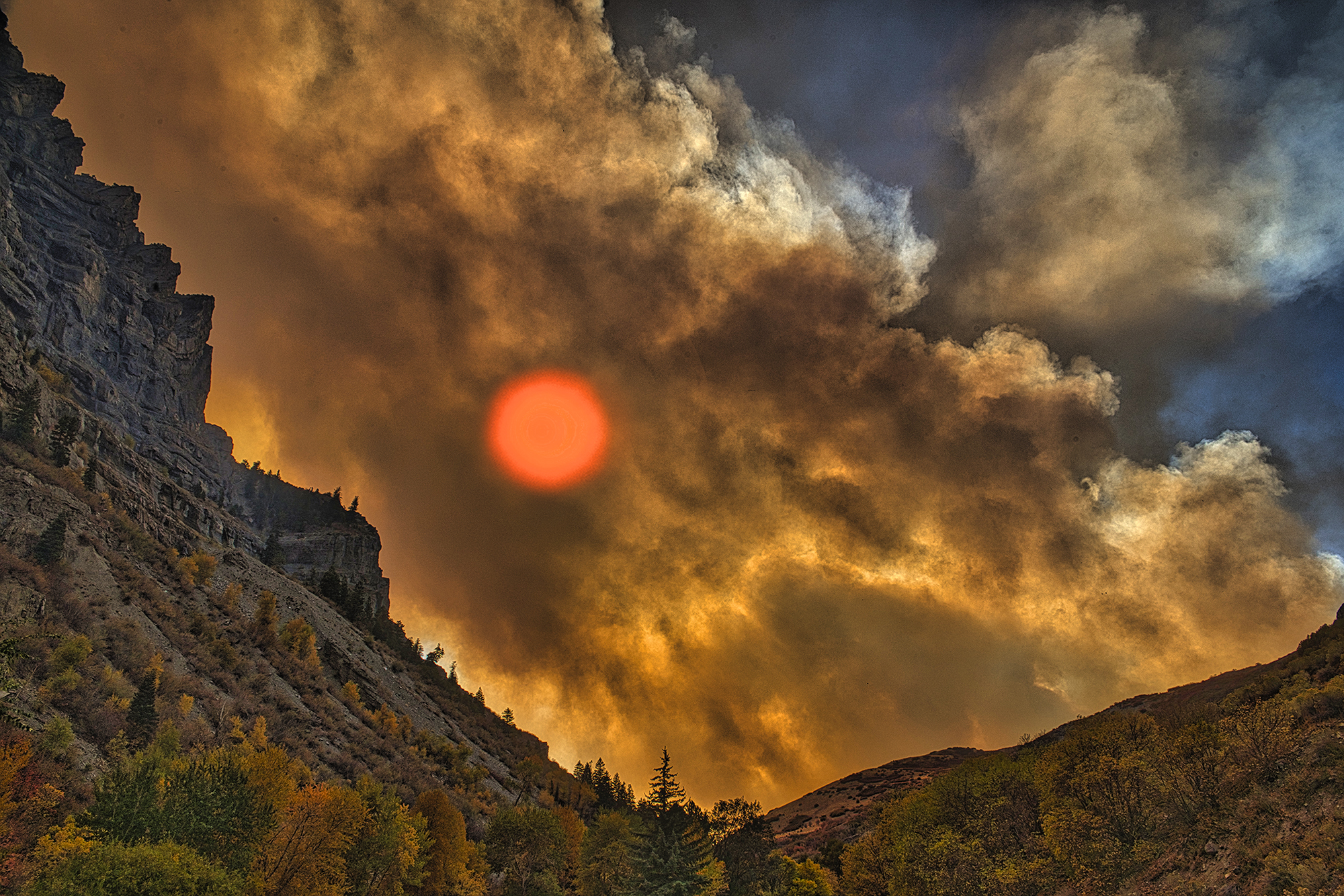 Utah Forest Fire by Skip Weeks