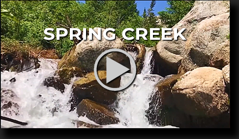 Spring Creek by Skip Weeks - 4K