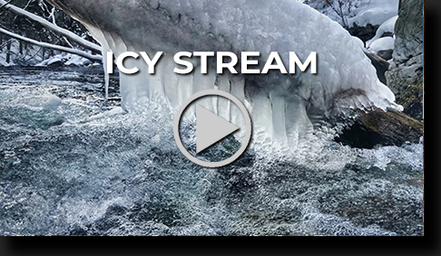 IcyStream by Skip Weeks - 4K