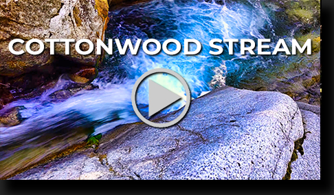 Cottonwood Stream by Skip Weeks - 4K