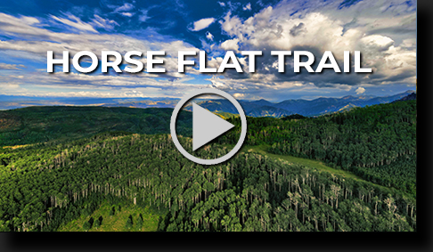 Horse Flat Hike by Skip Weeks - 4K