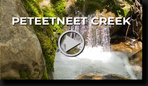 Peteetneet Creek by Skip Weeks - 4K