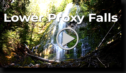 Lower Proxy Falls by Skip Weeks
