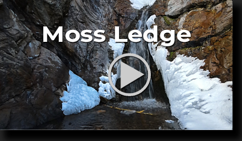 Moss Ledge Waterfall by Skip Weeks