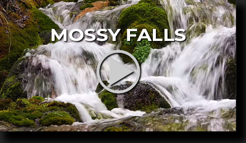 Mossy Falls Video by Skip Weeks