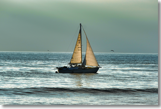 Sailing in San Diego