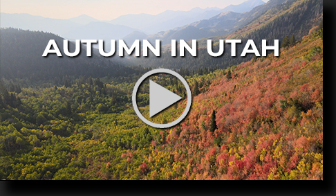 Utah Autumn Leaves video by Skip Weeks