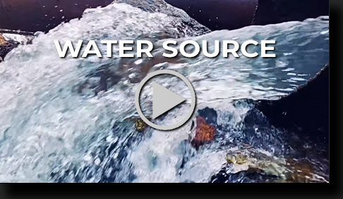 Water Source Video by Skip Weeks