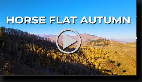 Horse Flat Trail in Autumn by Skip Weeks at 4K