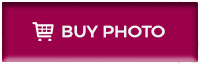 BUY BUTTON
