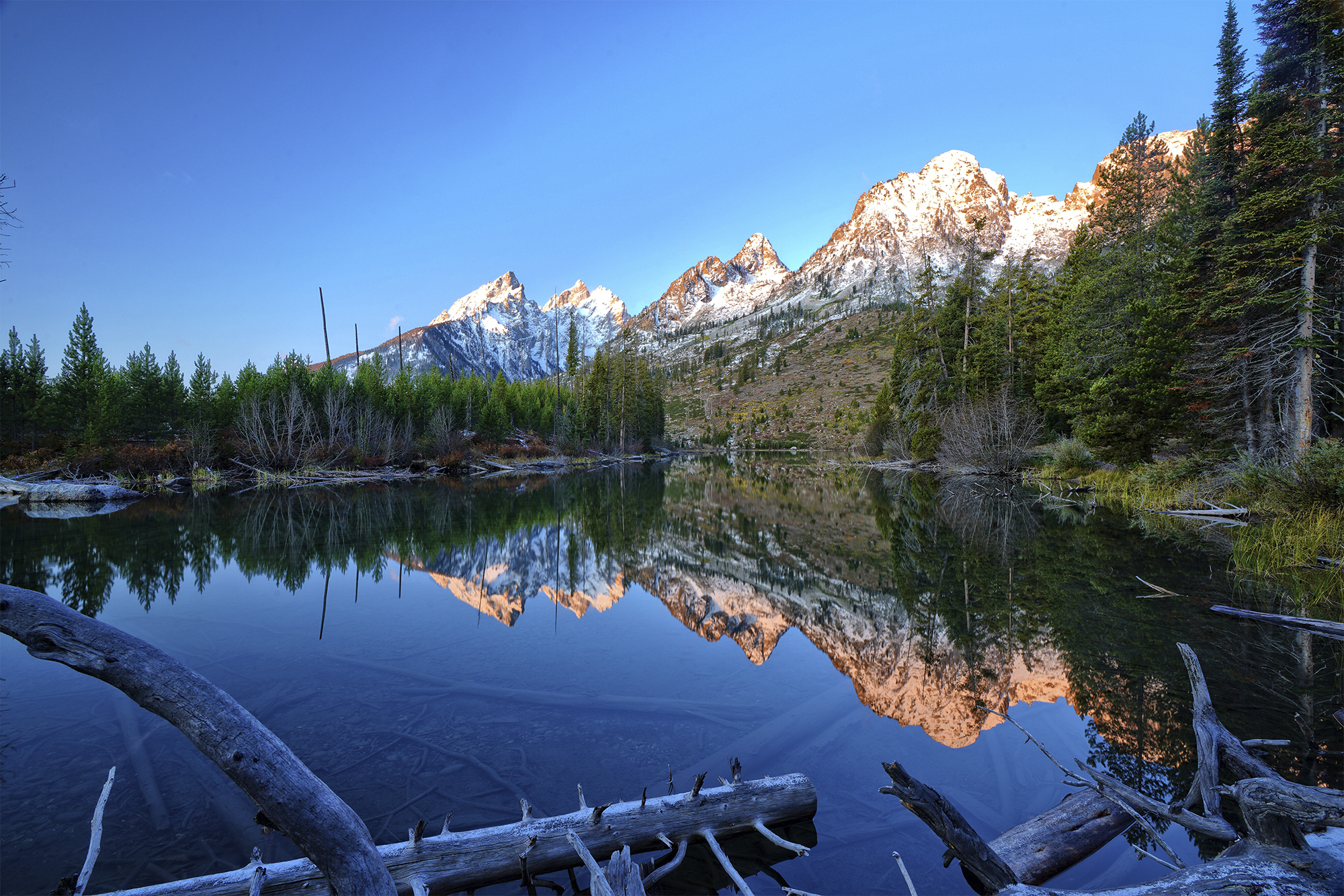 JENNY LAKE REFLECTION AT DAWN