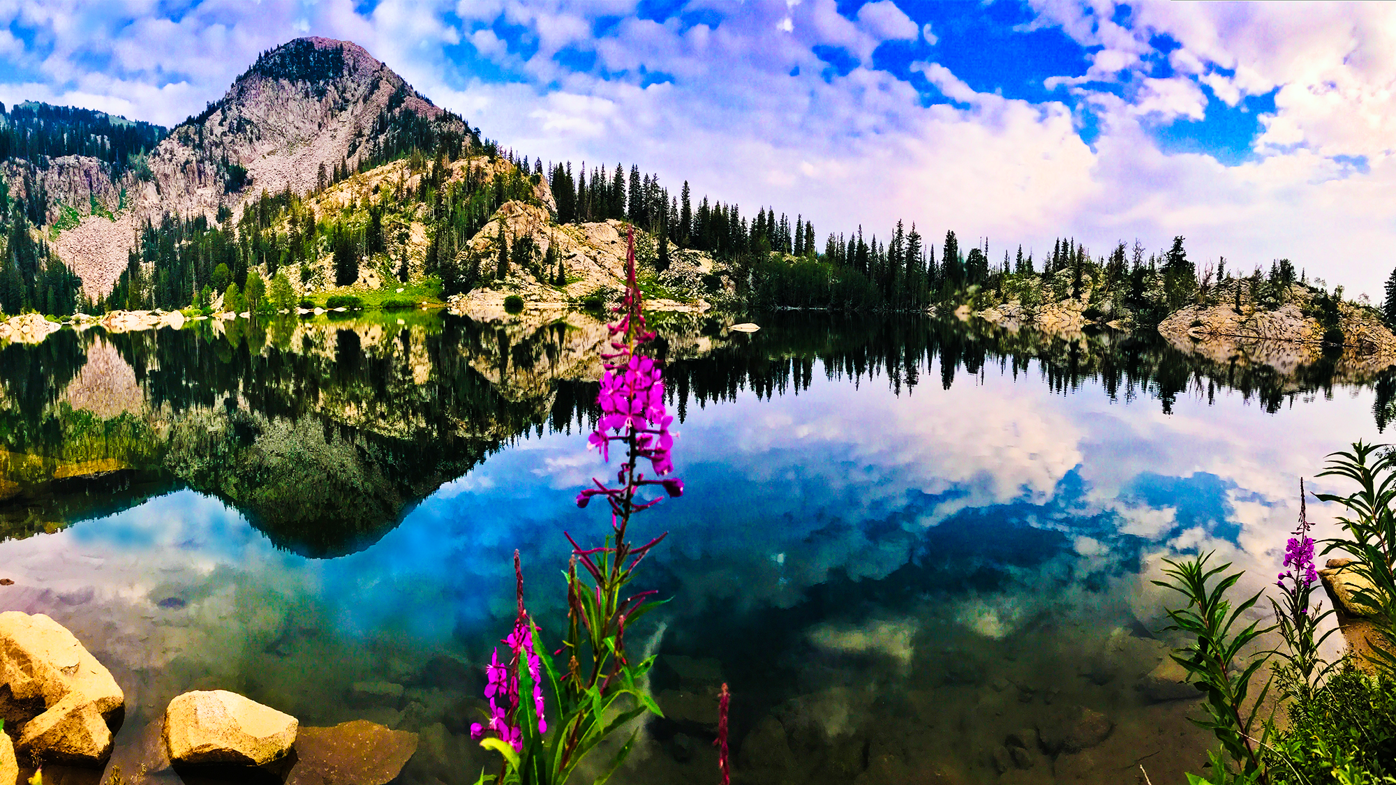 LAKE MARY MORNING ABOVE BRIGHTON