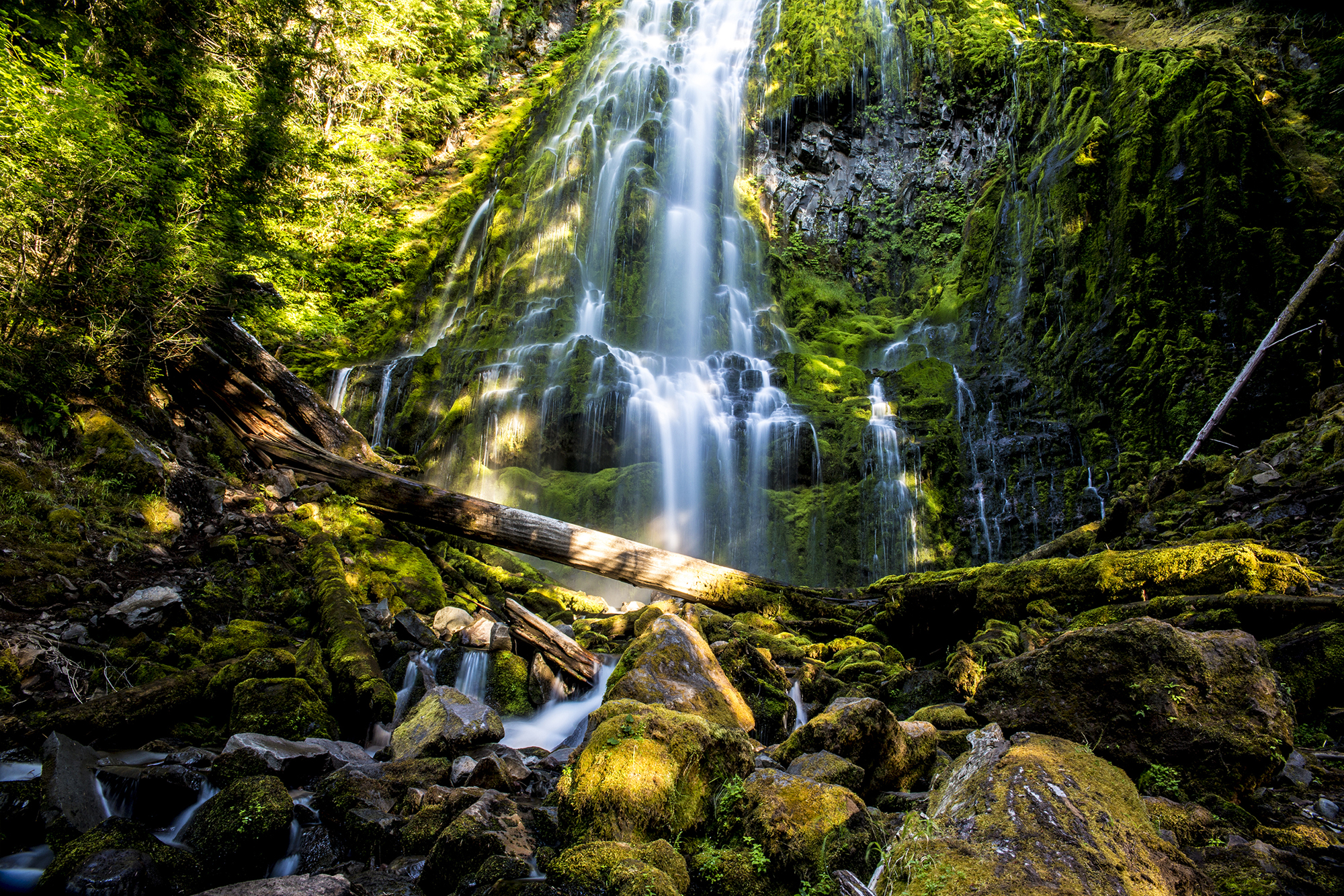 LOWER PROXY FALLS IN OREGON