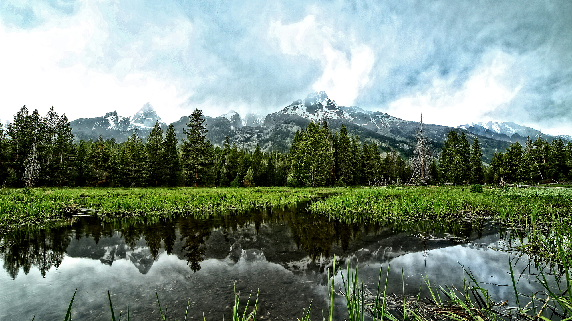 Teton Reflections