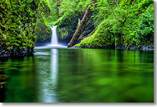 Punchbowl Falls