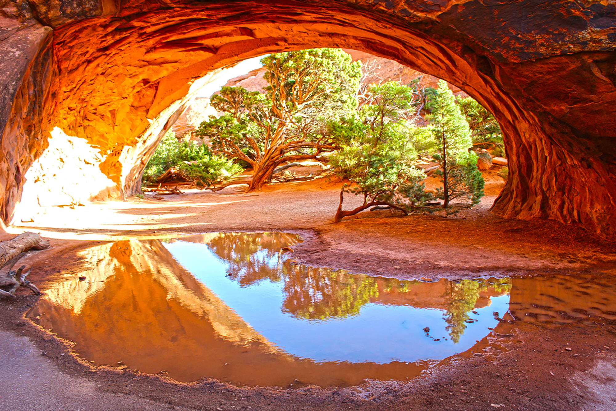 Navajo Arch by Skip Weeks