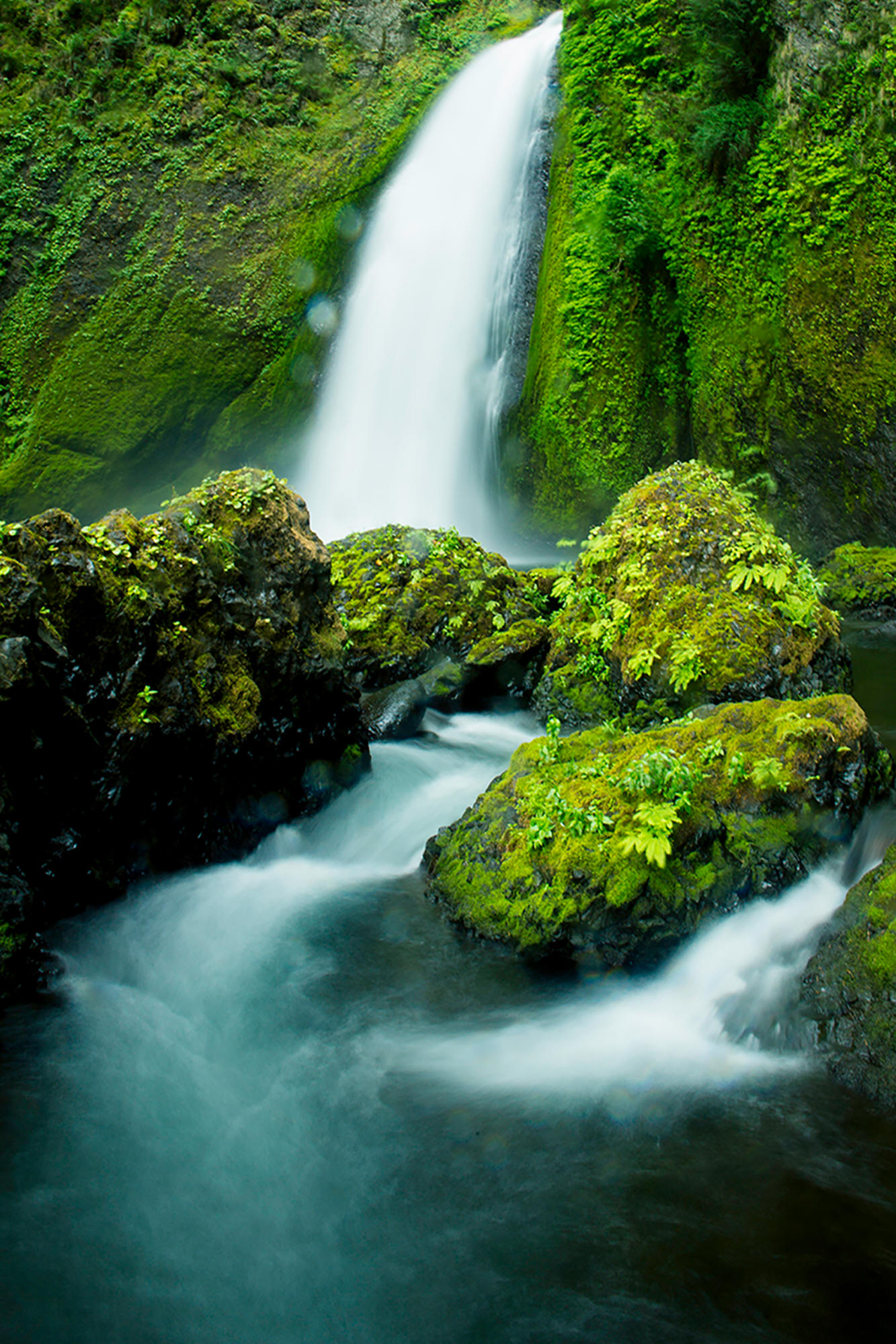 Wahclella Falls by Skip Weeks