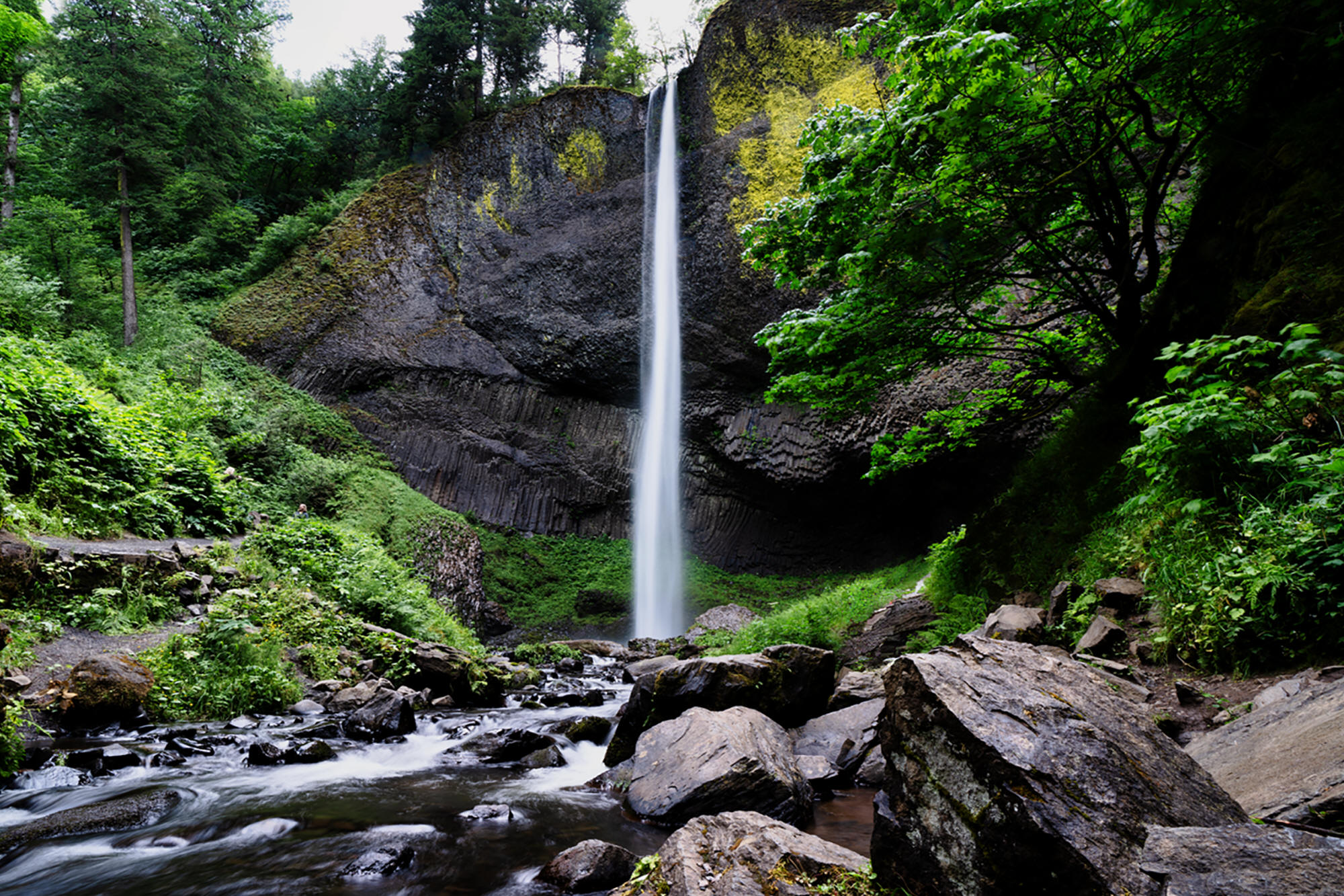 Latourell Falls by Skip Weeks