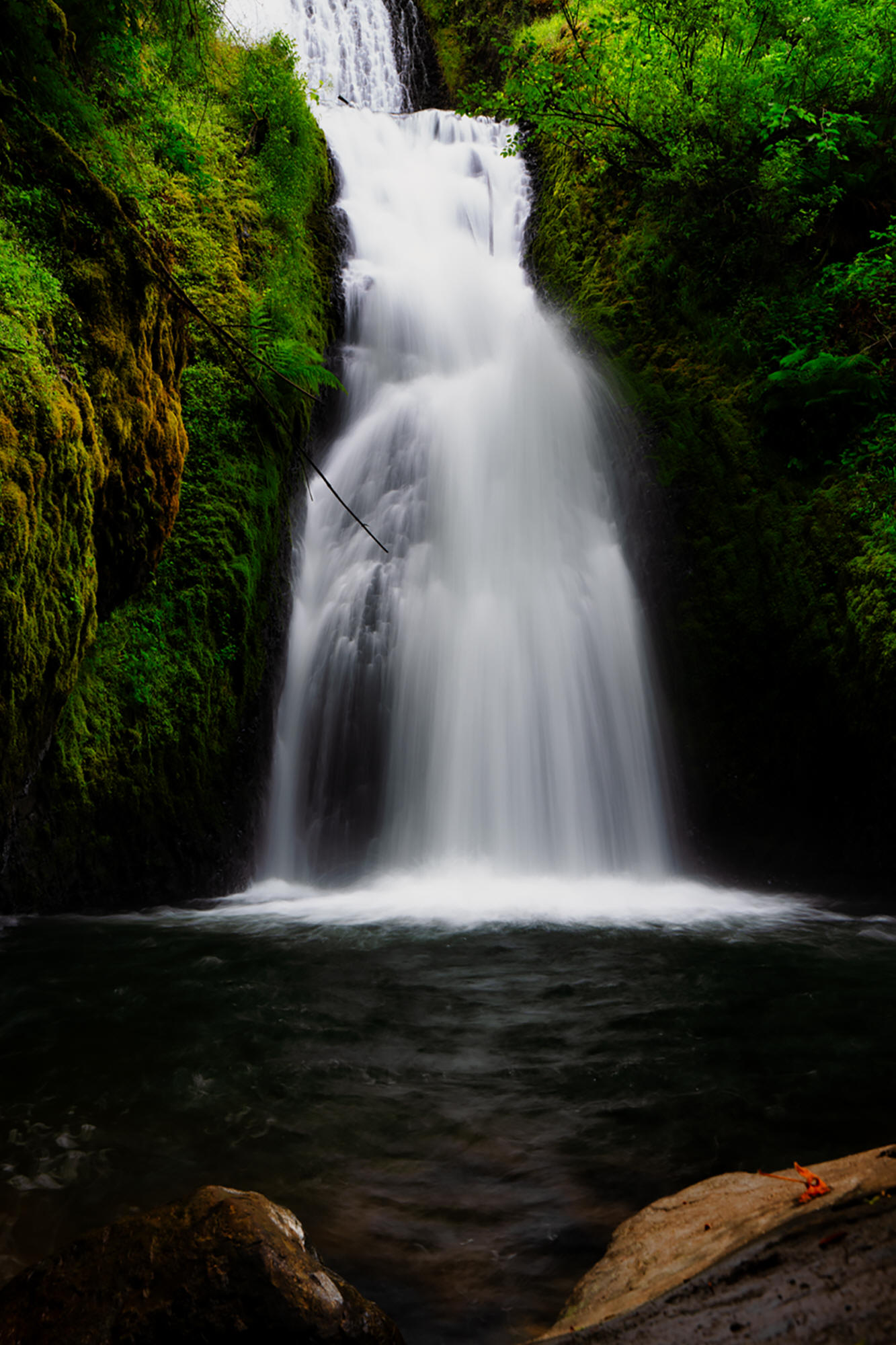 Bridal Veil Falls Near Portland by Skip Weeks