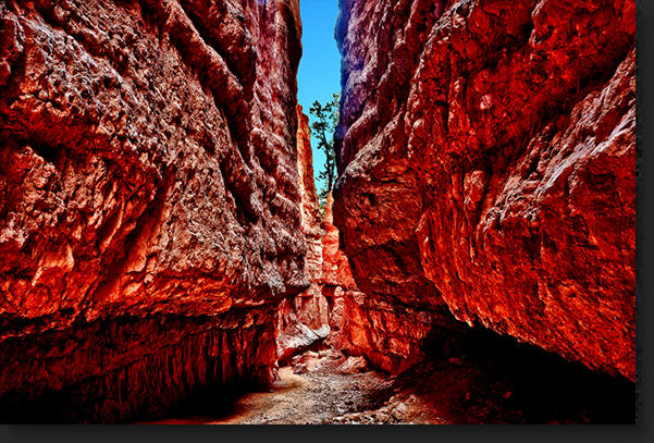 Bryce Canyon Slot Canyon by Skip Weeks