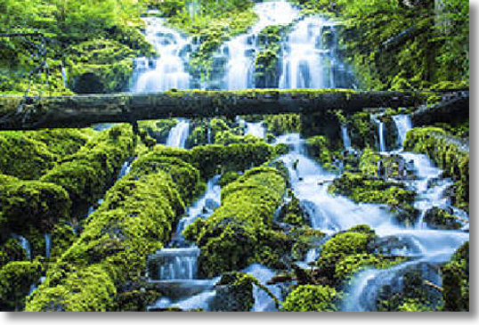 Upper Proxy Falls