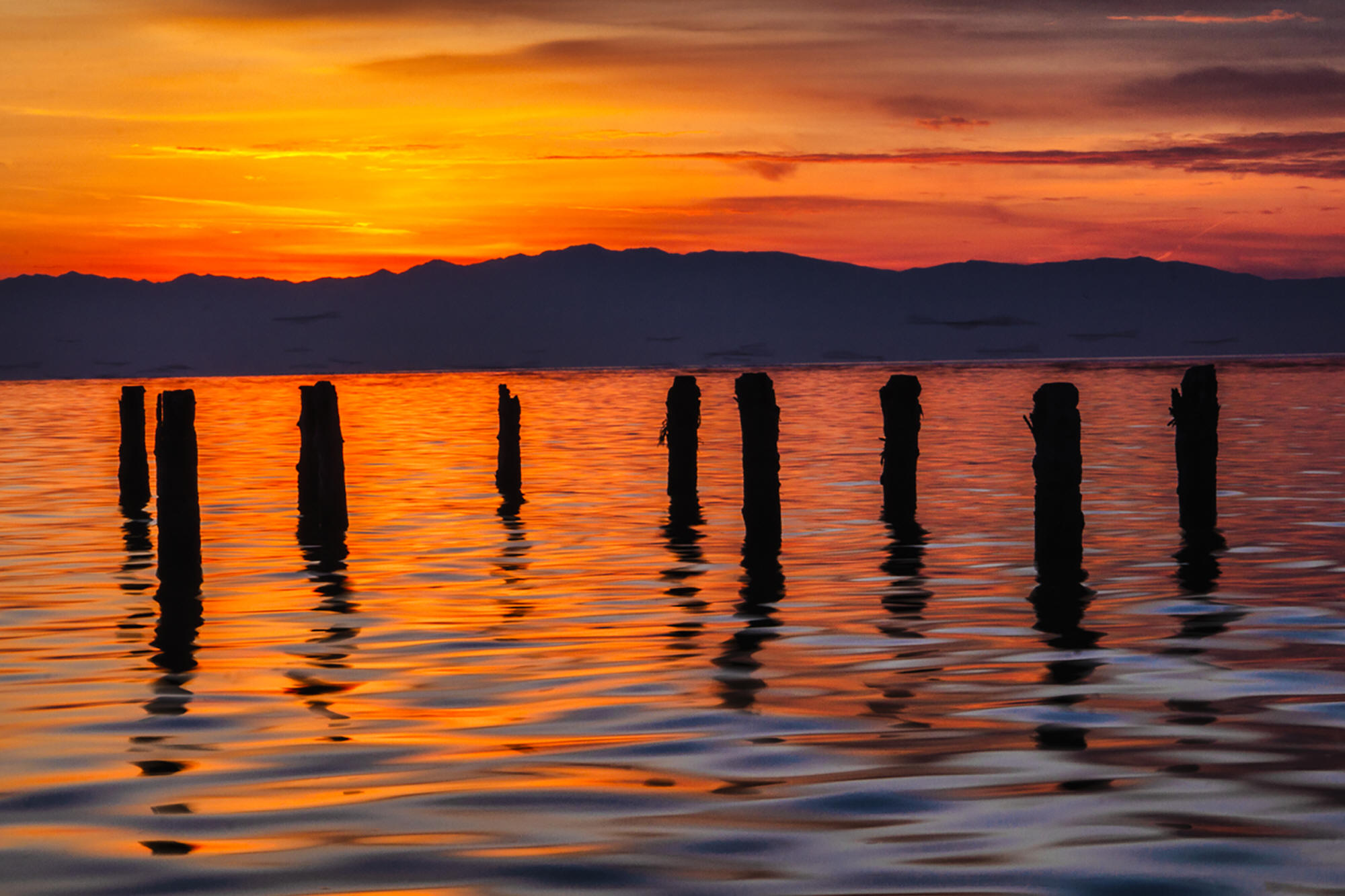 Great Salt Lake Sentinals