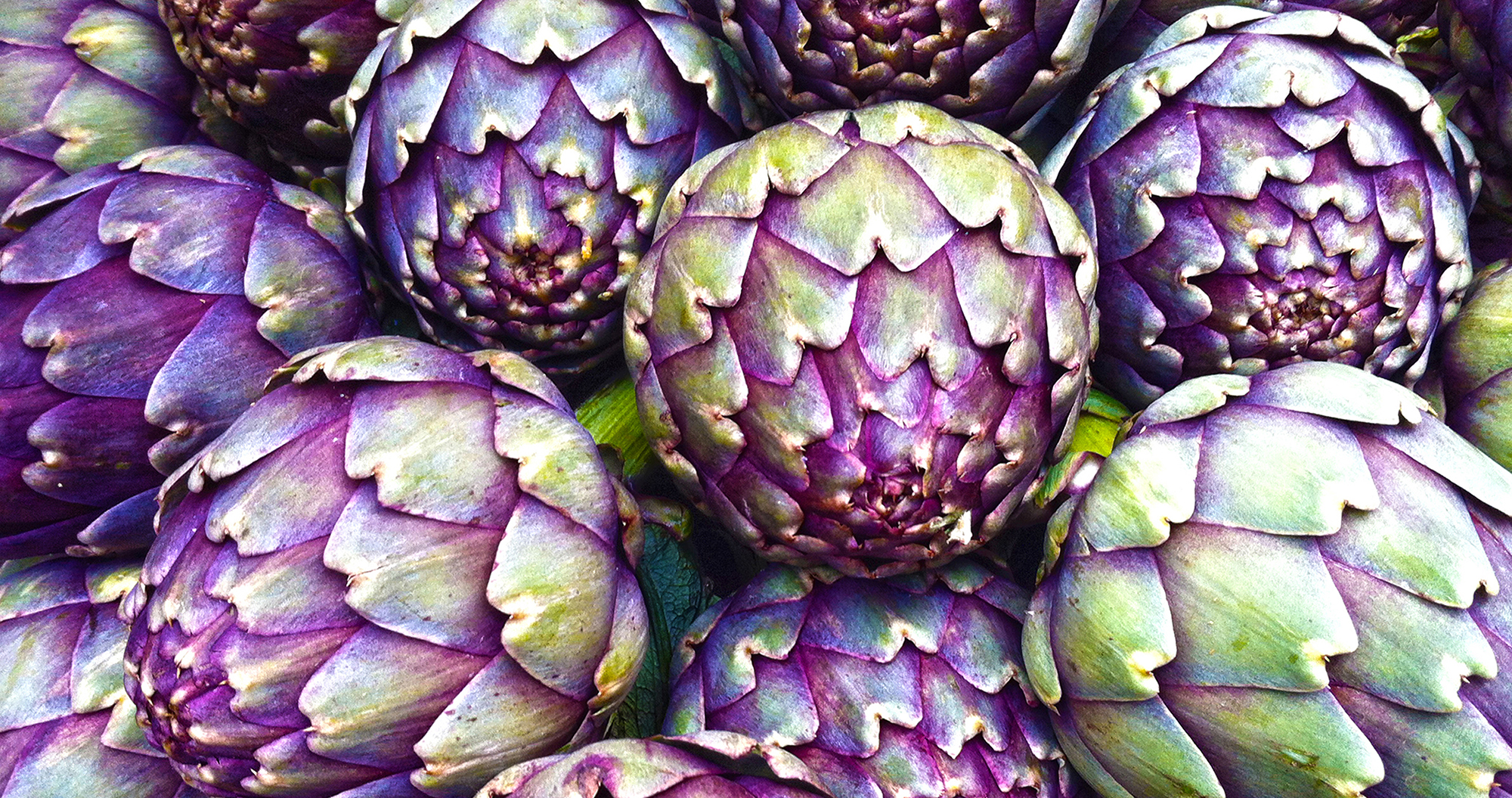 Artichokes