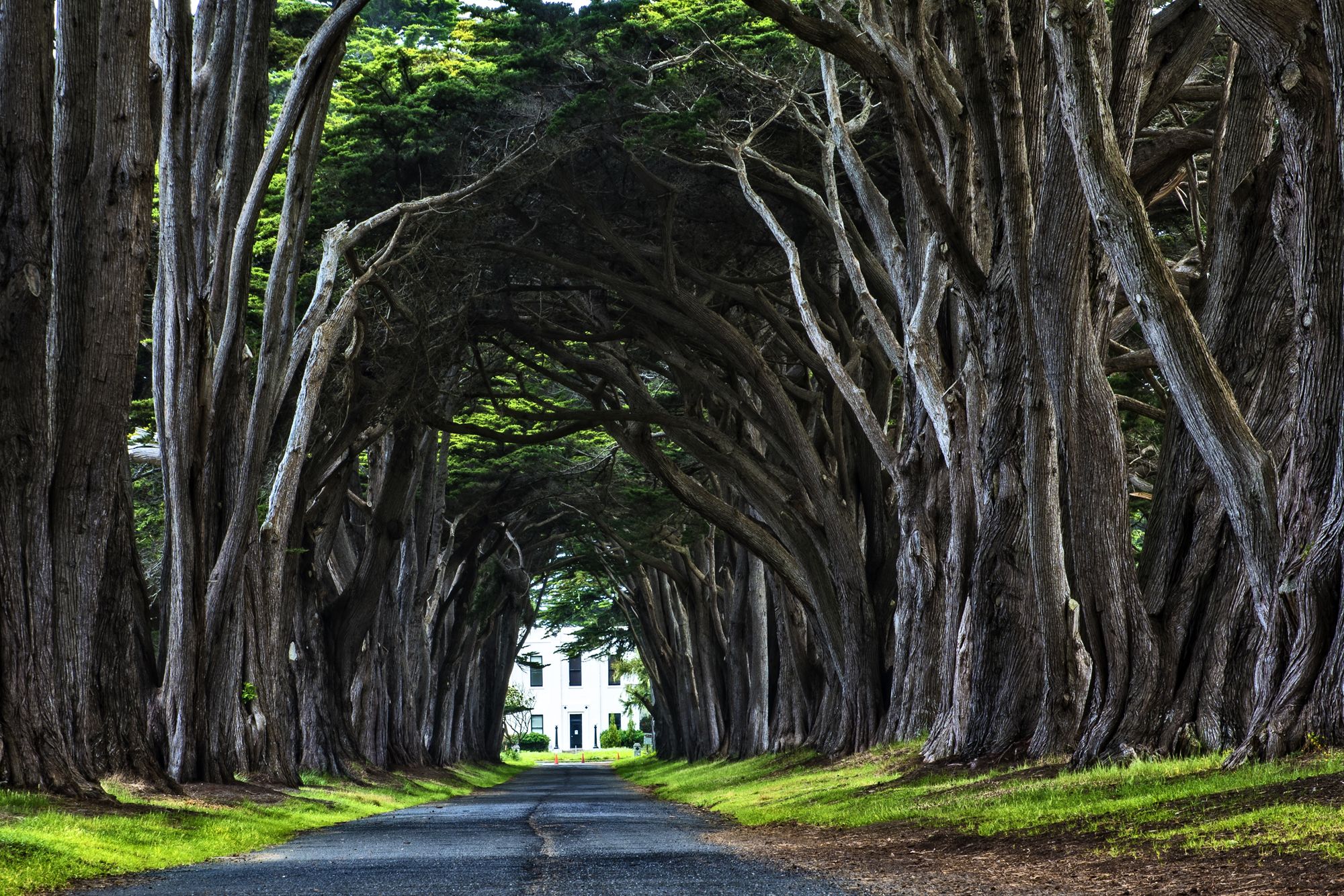 Cyprus Arch
