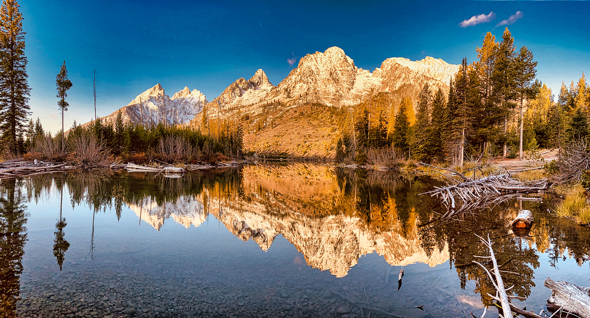 Jenny Lake Reflection