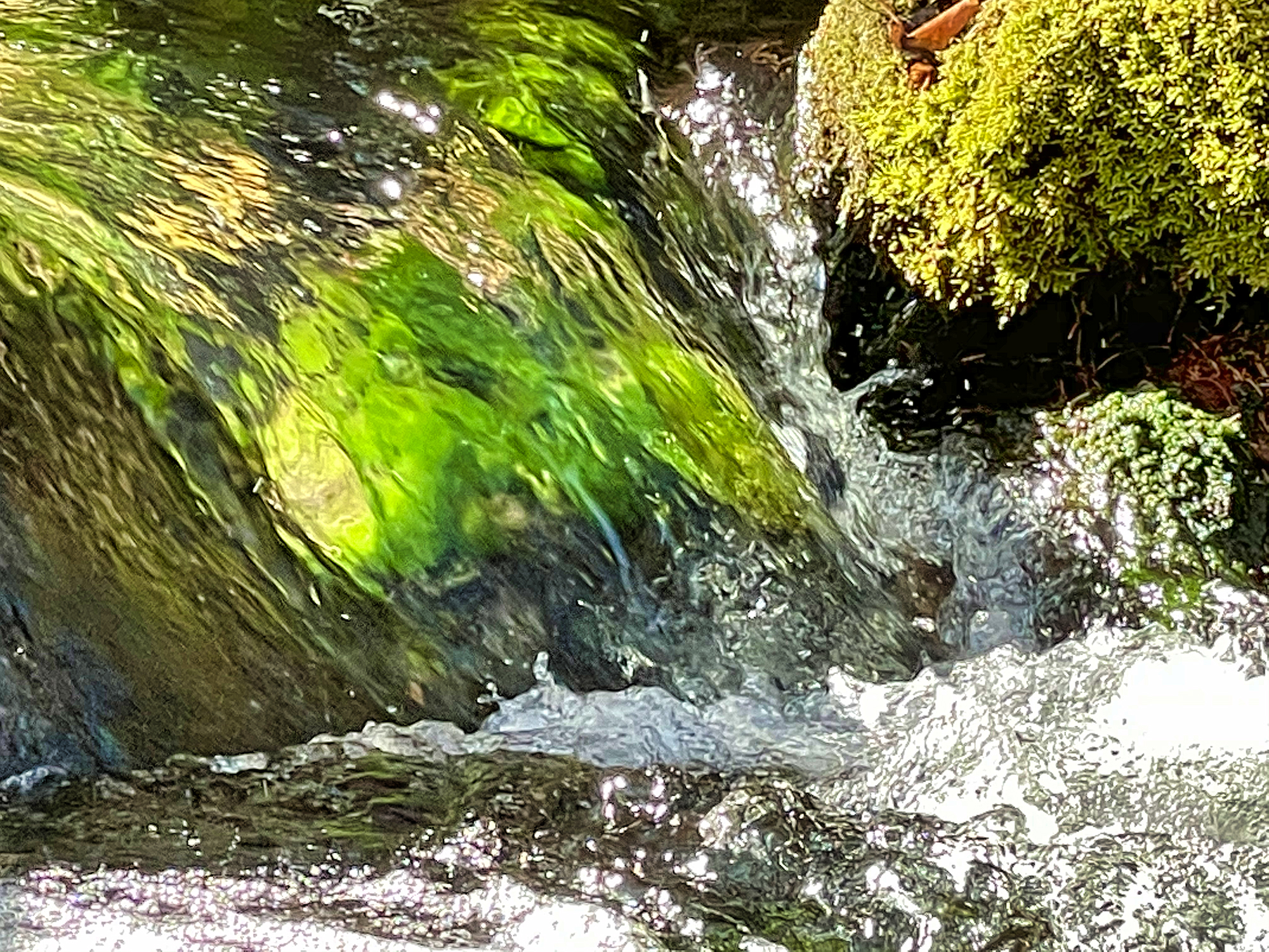 Mossy Stream at Sundance by Skip Weeks
