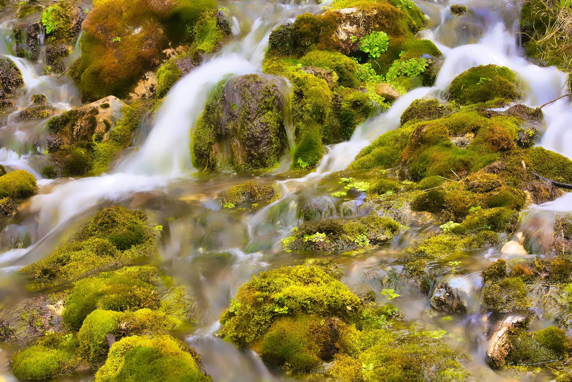 Mossy Falls