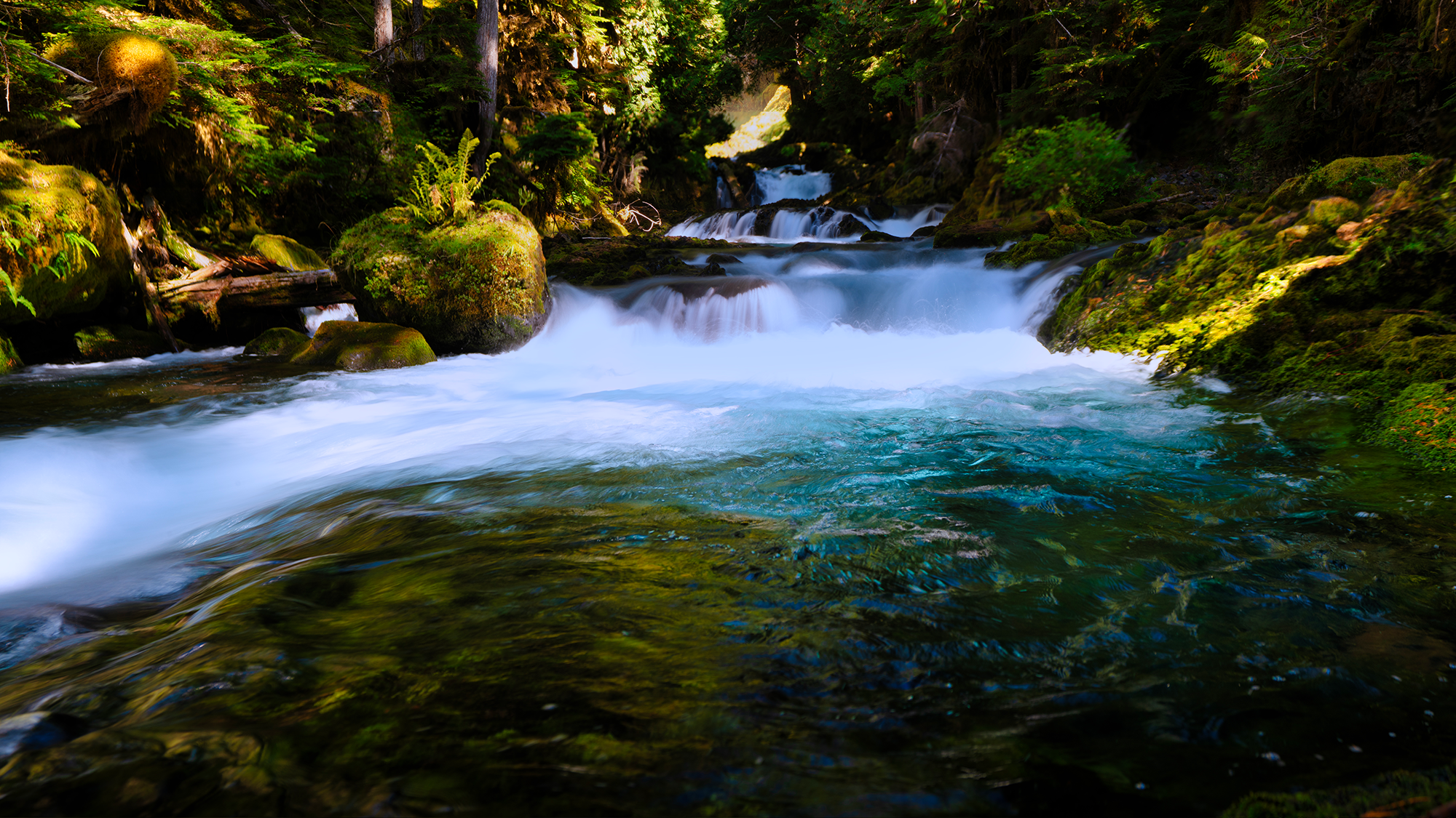 Below Sahalie Falls