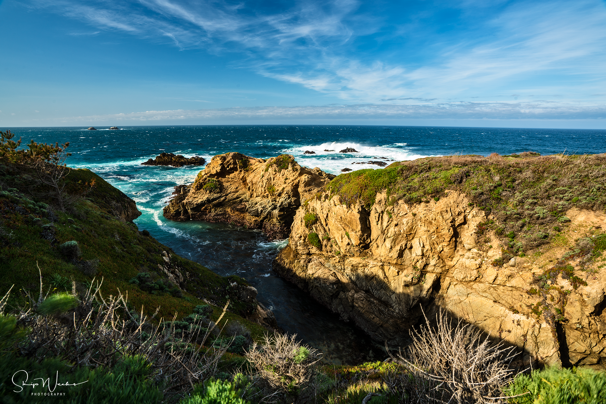 Big Sur by Skip Weeks